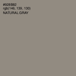 #928B82 - Natural Gray Color Image